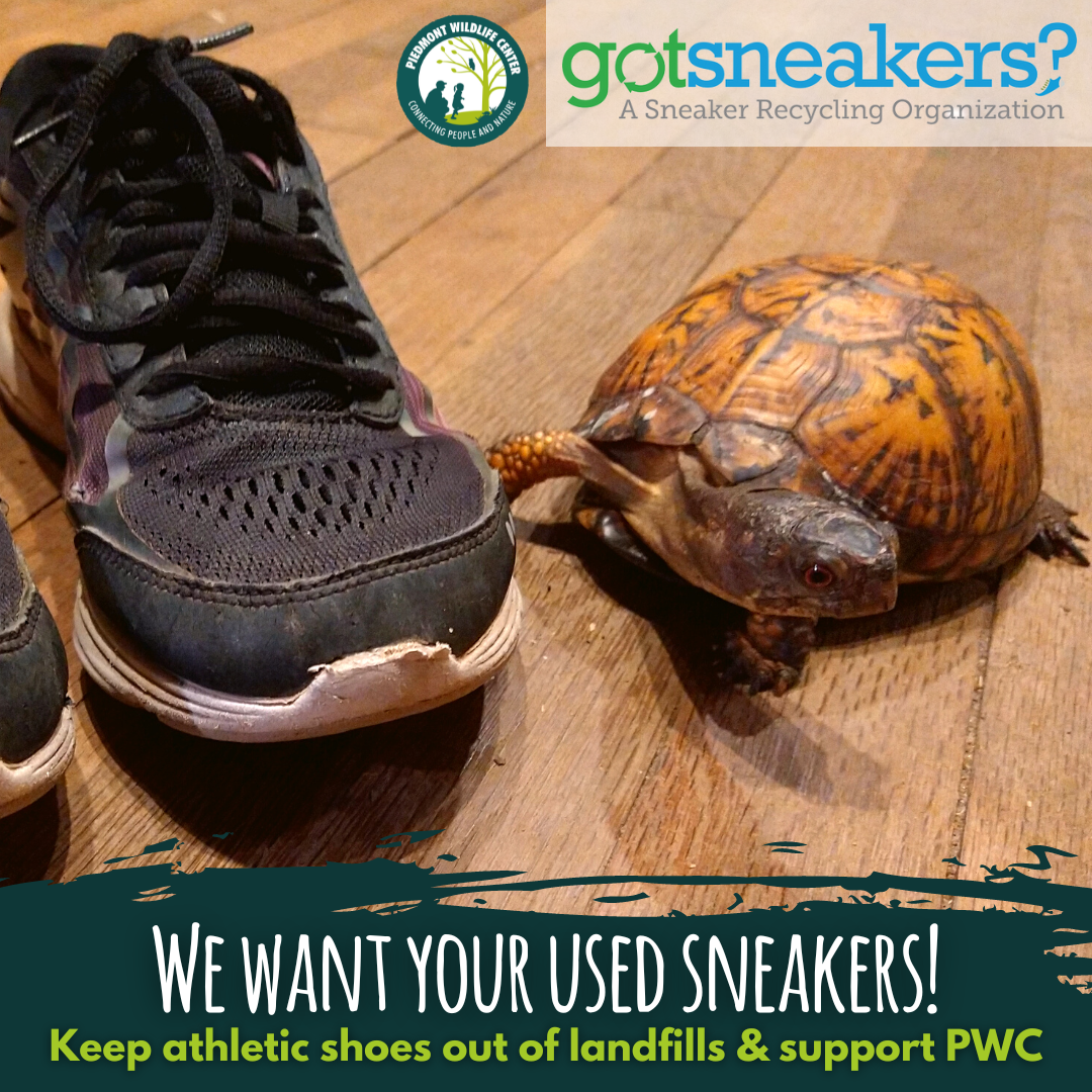 Nature 2025 life shoes